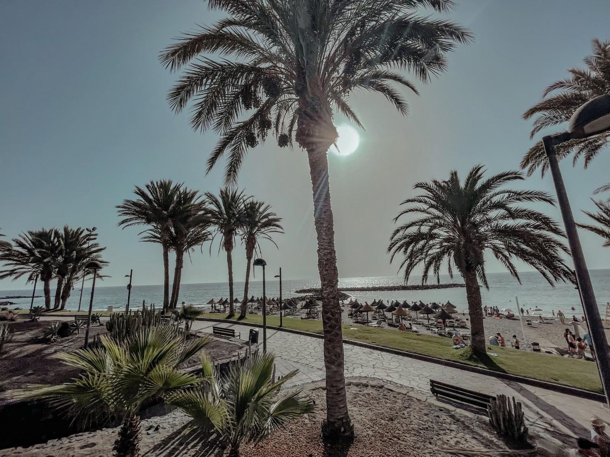 Viktoria Sur Daire Playa de las Américas Dış mekan fotoğraf